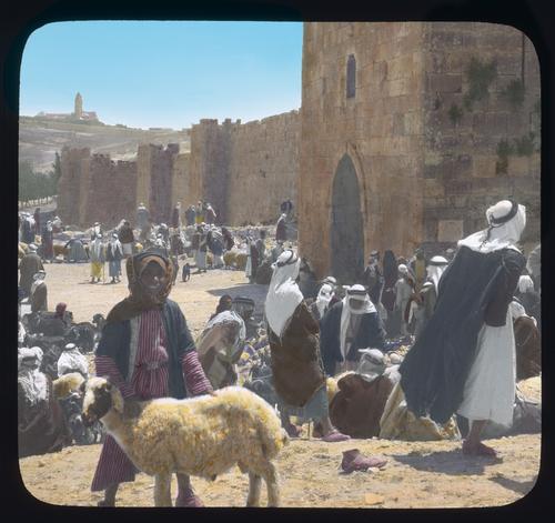 Herod's gate. The present sheep market
