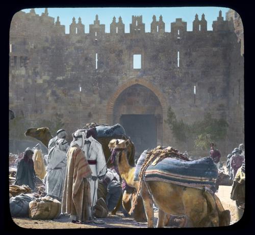 Damascus gate. Bedouins unloading wheat-laden camels