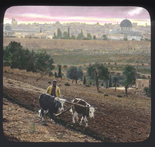 Jerusalem from above Gethsemane