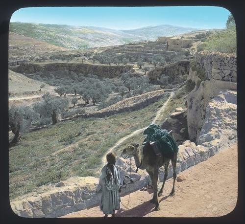 Valley of Hinnom from Bethlehem Road