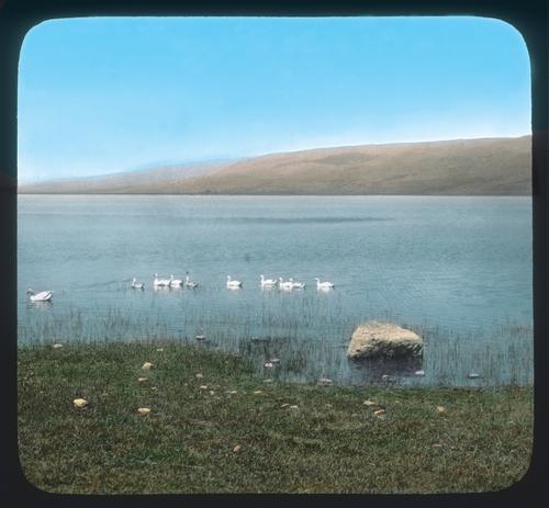 Lake Huleh. "Water of Merom"