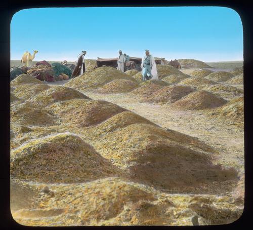 Beersheba. Bedouin grain deposits