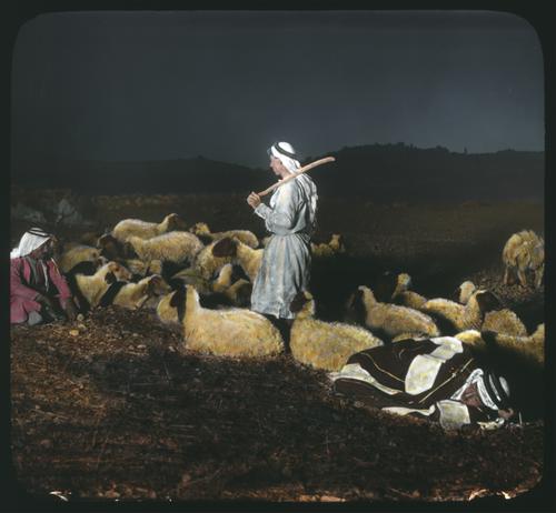 "While Shepherds Watched their Flocks" (night scene showing Bethlehem in distance)
